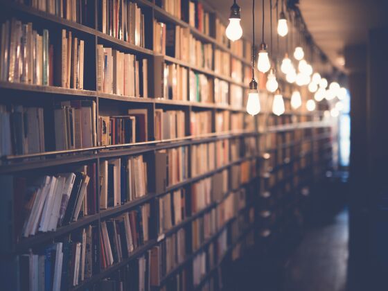 Bibliothèque retro, éclairage retro, ambiance cozy pour le travail et la rédaction