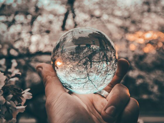 Boule de cristal focus sur le SEO