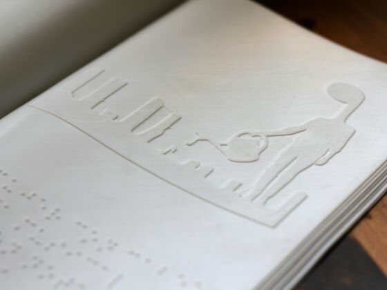 Livre avec illustration en braille